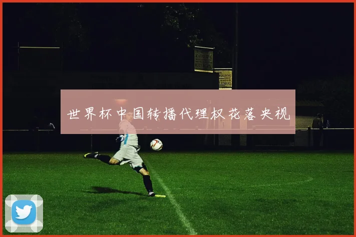 世界杯中国转播代理权花落央视