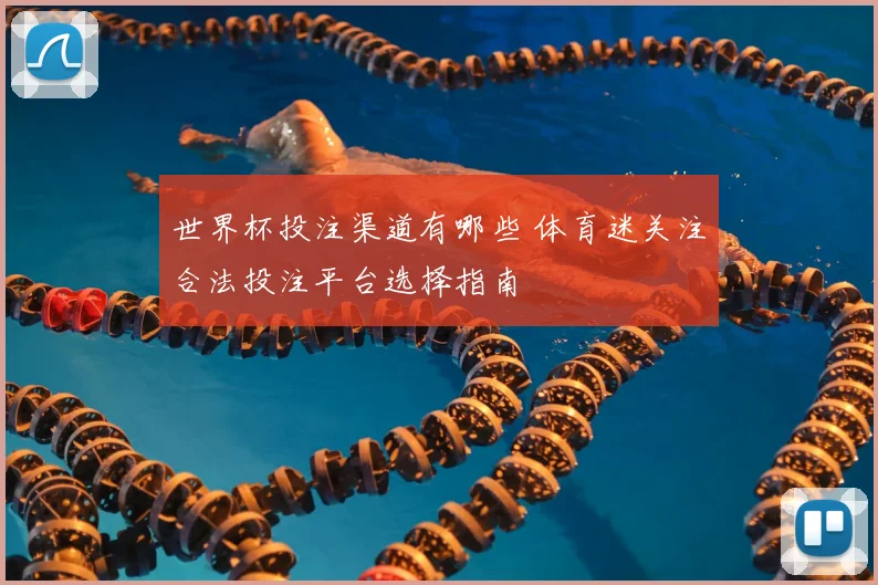 世界杯投注渠道有哪些 体育迷关注合法投注平台选择指南