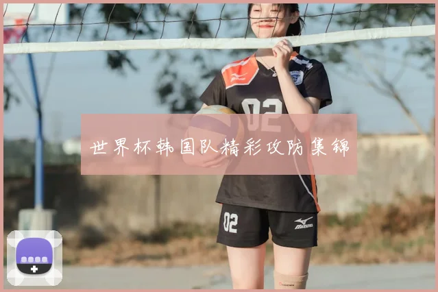 世界杯韩国队精彩攻防集锦