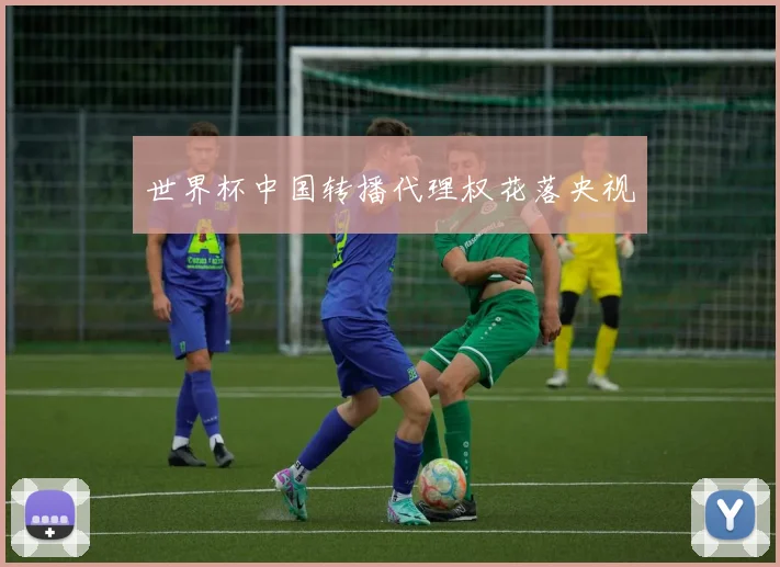 世界杯中国转播代理权花落央视