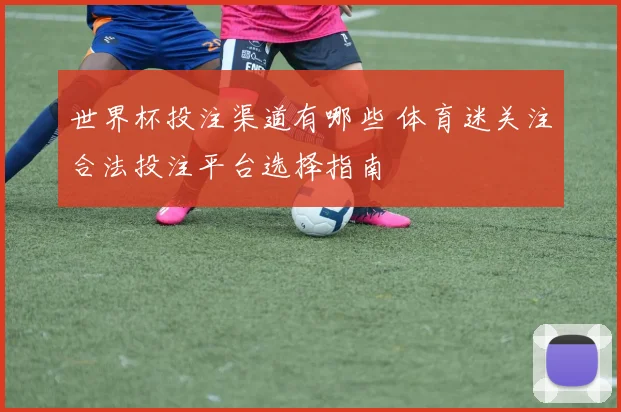 世界杯投注渠道有哪些 体育迷关注合法投注平台选择指南