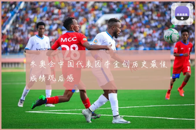 冬奥会中国代表团夺金创历史最佳成绩观后感