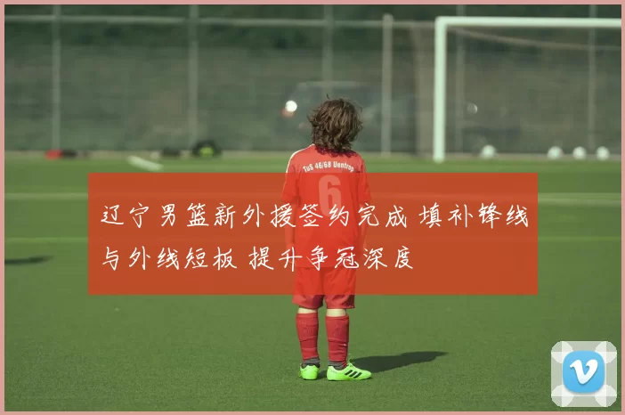 辽宁男篮新外援签约完成 填补锋线与外线短板 提升争冠深度