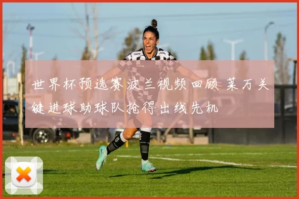世界杯预选赛波兰视频回顾 莱万关键进球助球队抢得出线先机